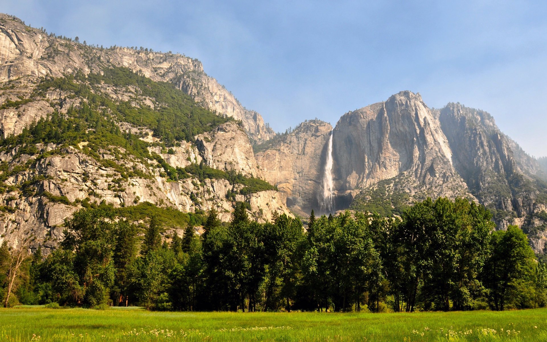 forêt montagnes yosemite états-unis californie