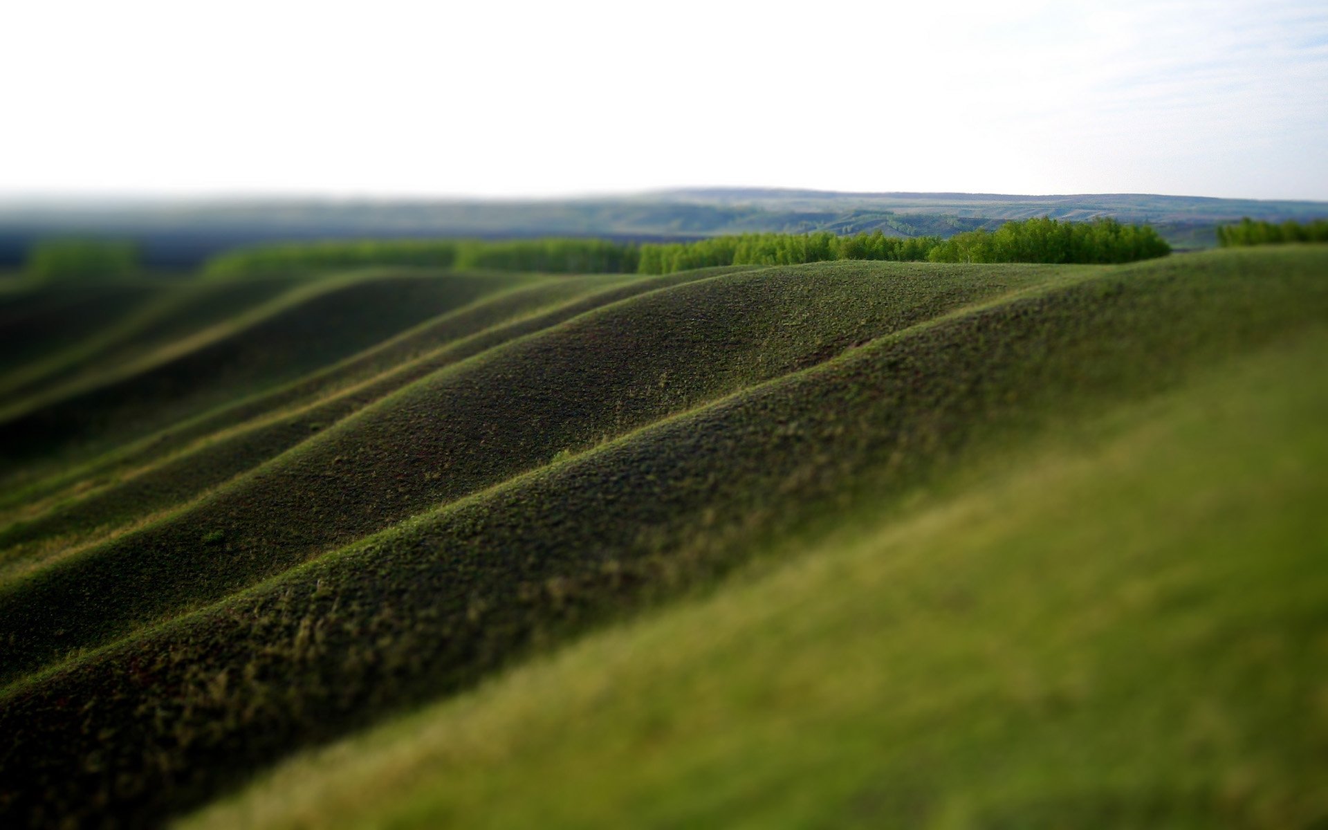 the slope of the valley green