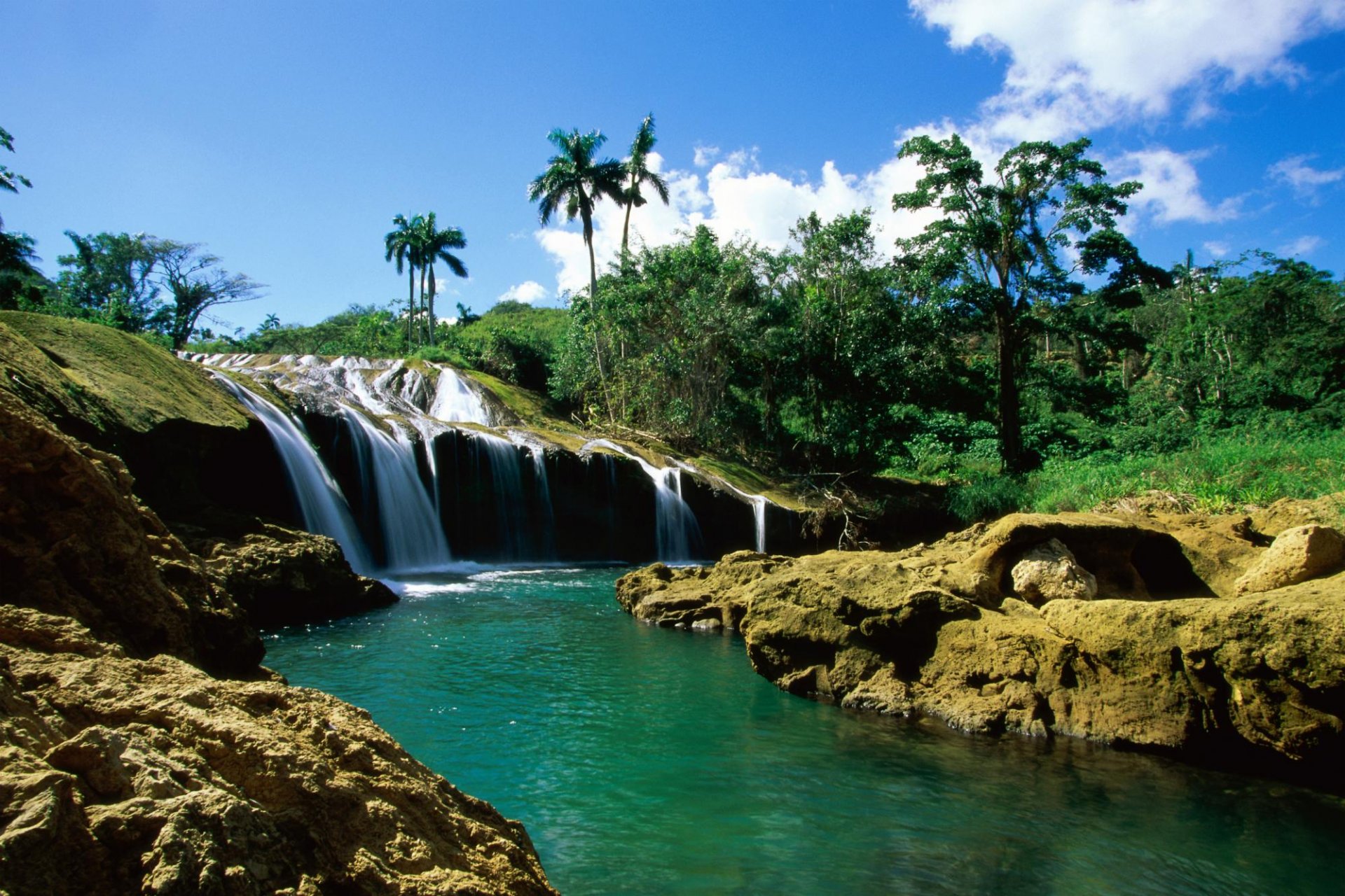 cascata palme fiume