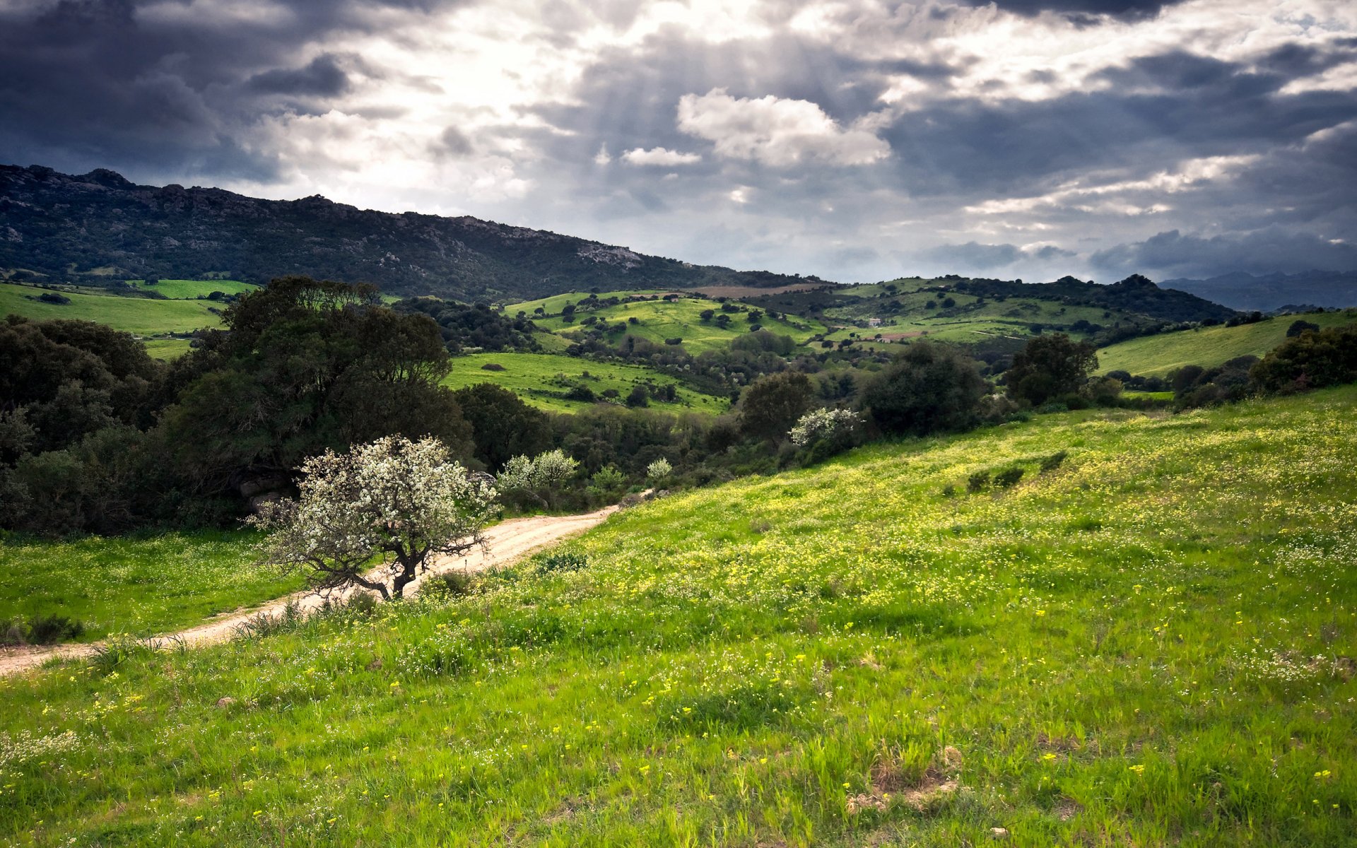 hills green sardinia italy