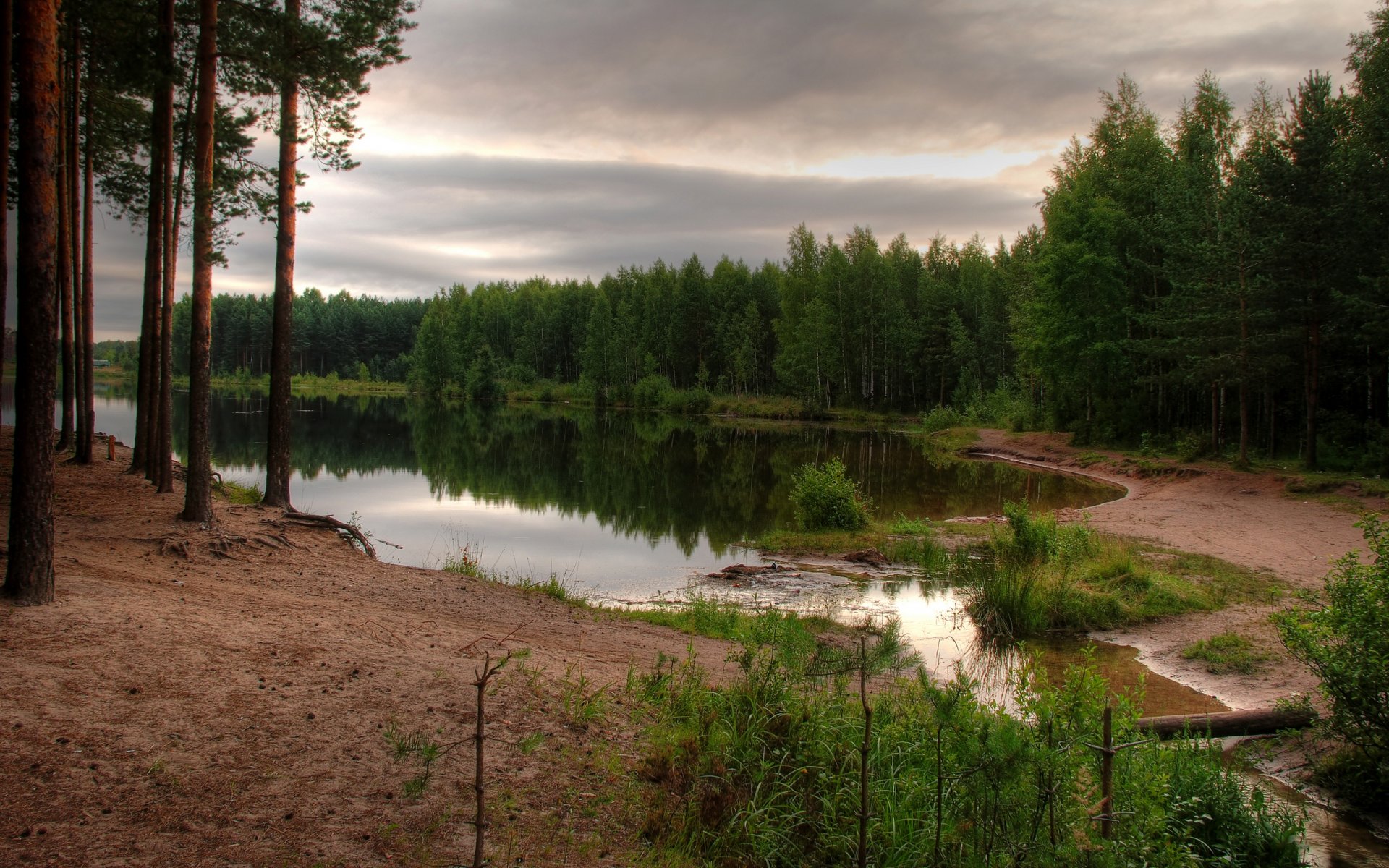 forest reservoir sky