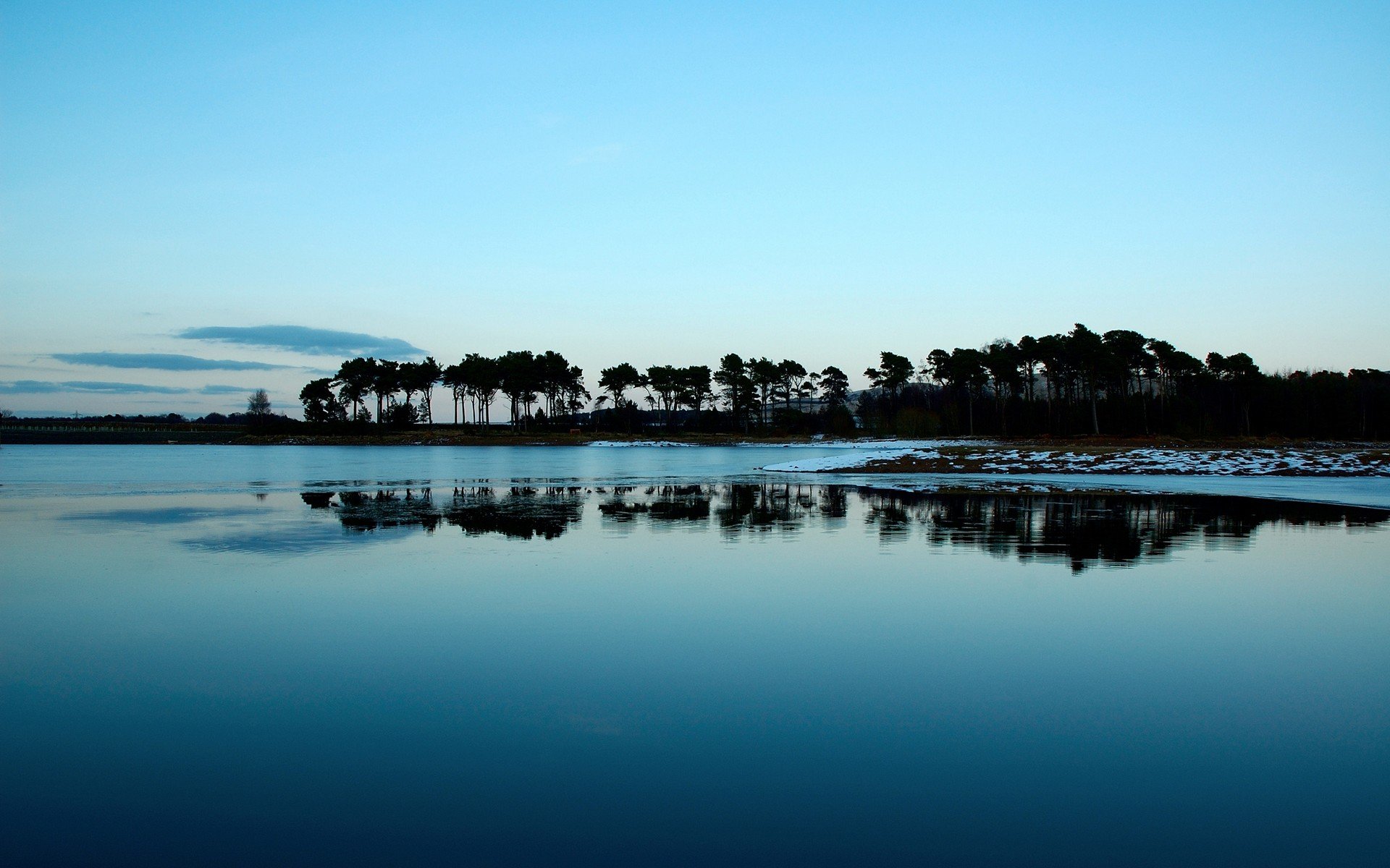 acqua alberi isola