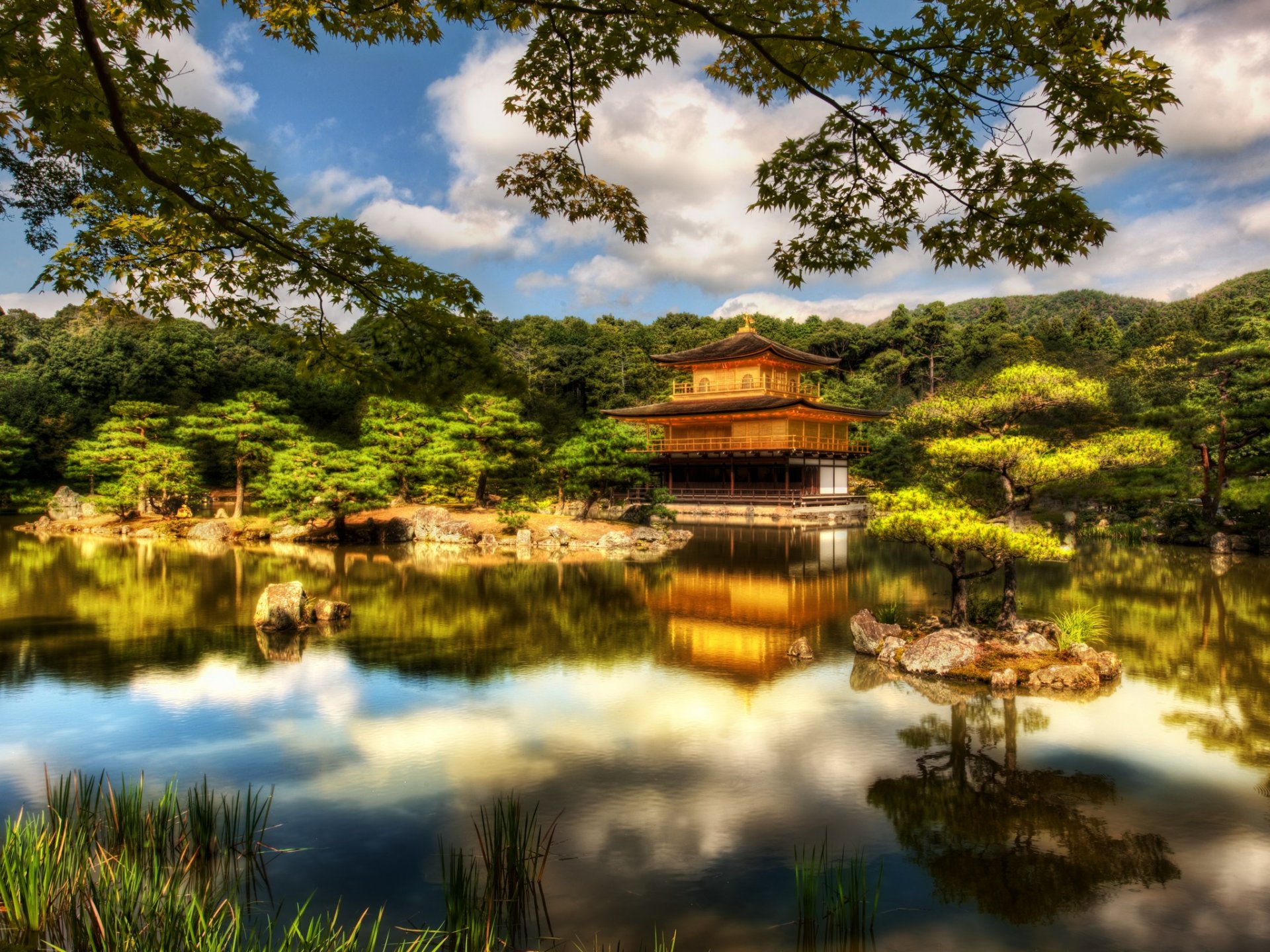 japon forêt lac