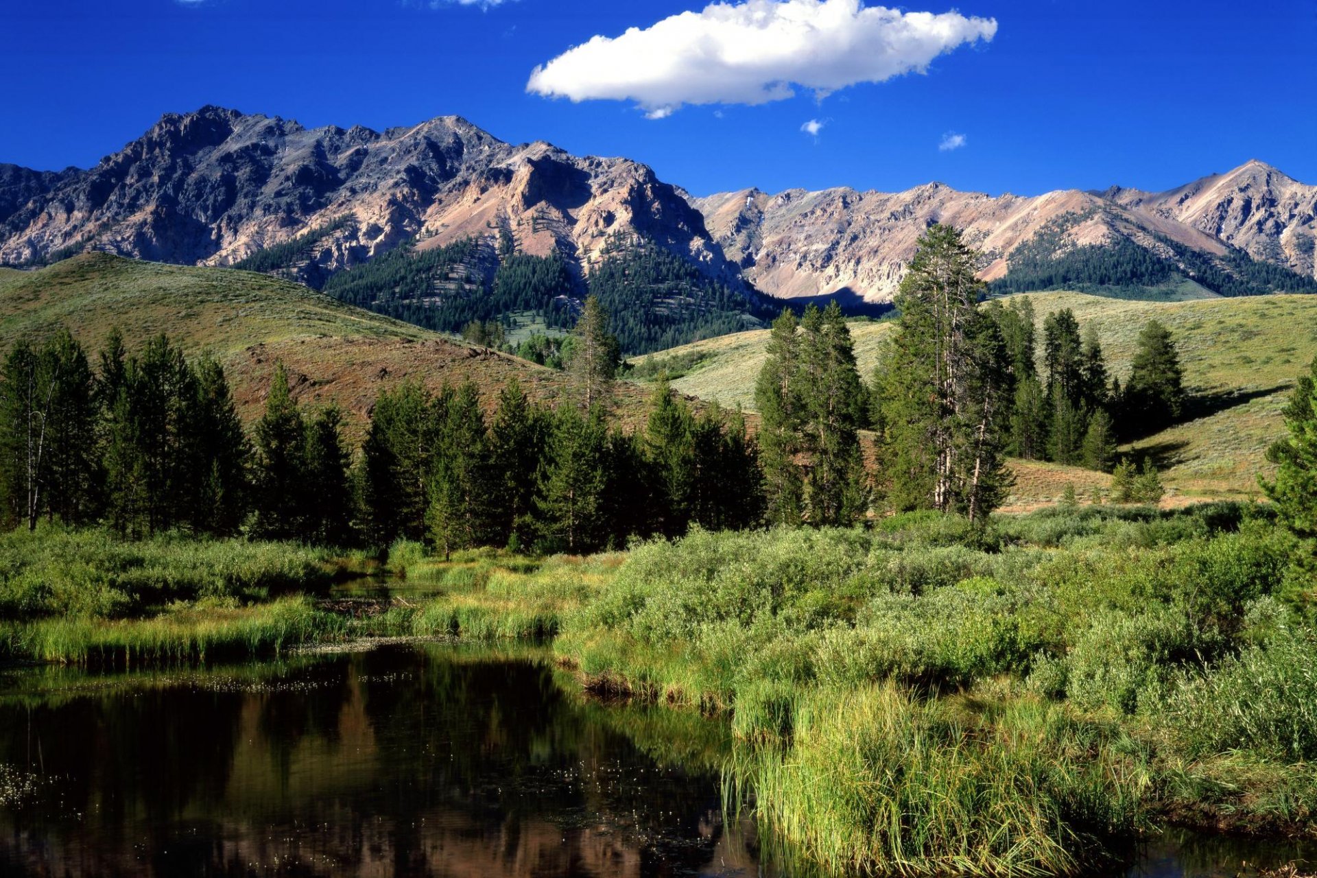 fiume montagne foresta