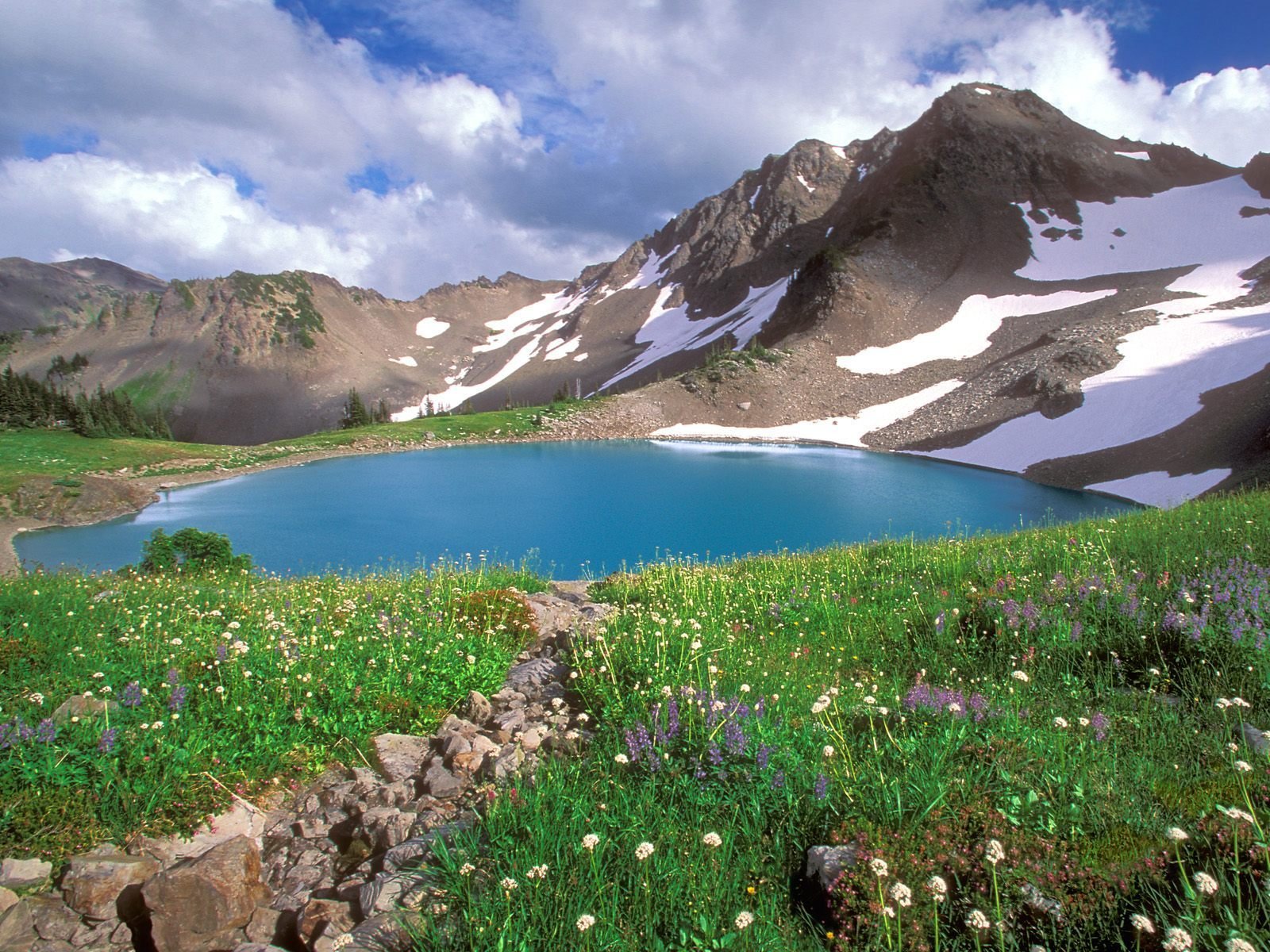 mountain lake flower