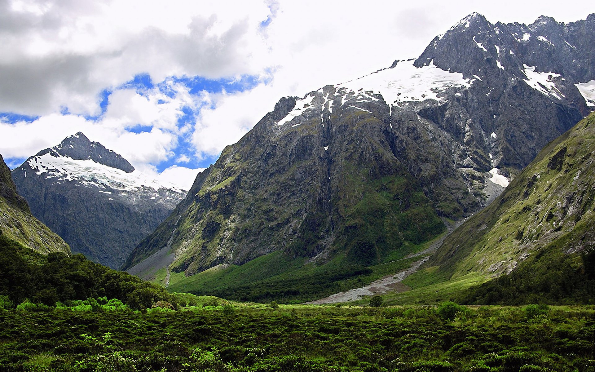 montagnes neige verdure