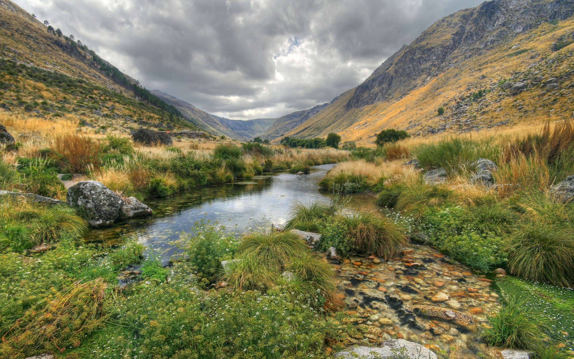 natur landschaft wasser