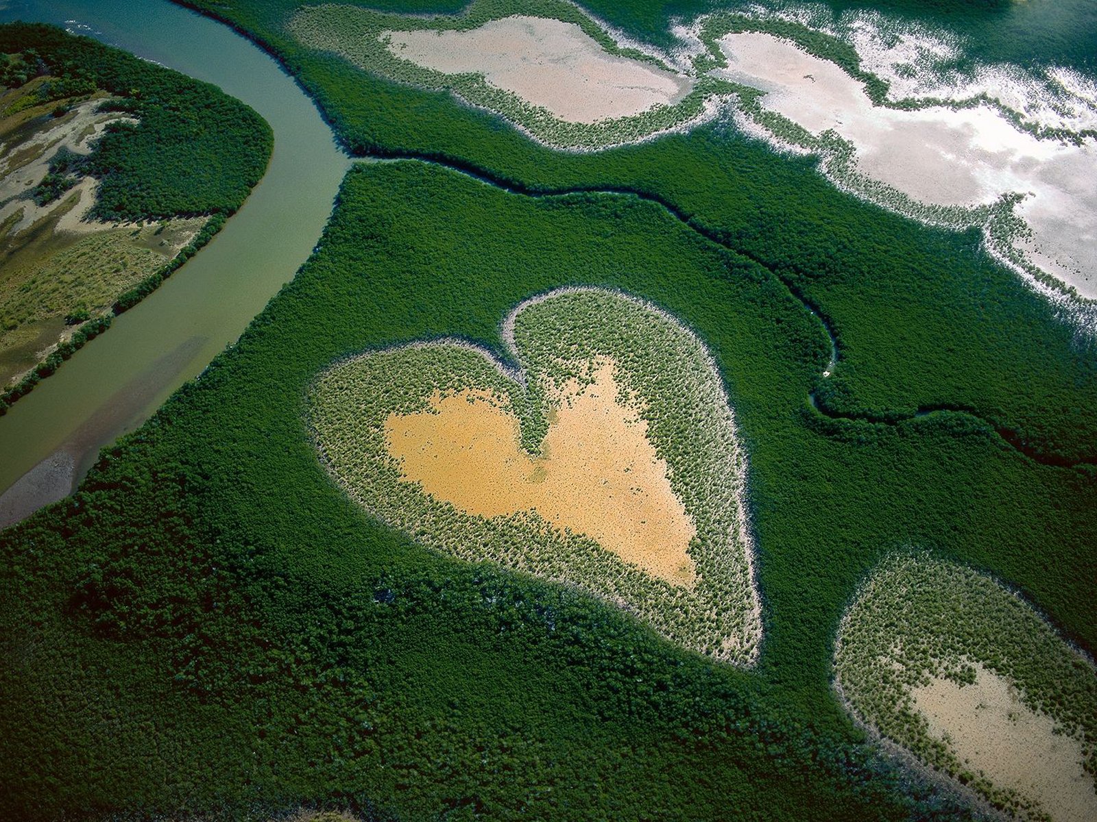 d en haut coeur terre