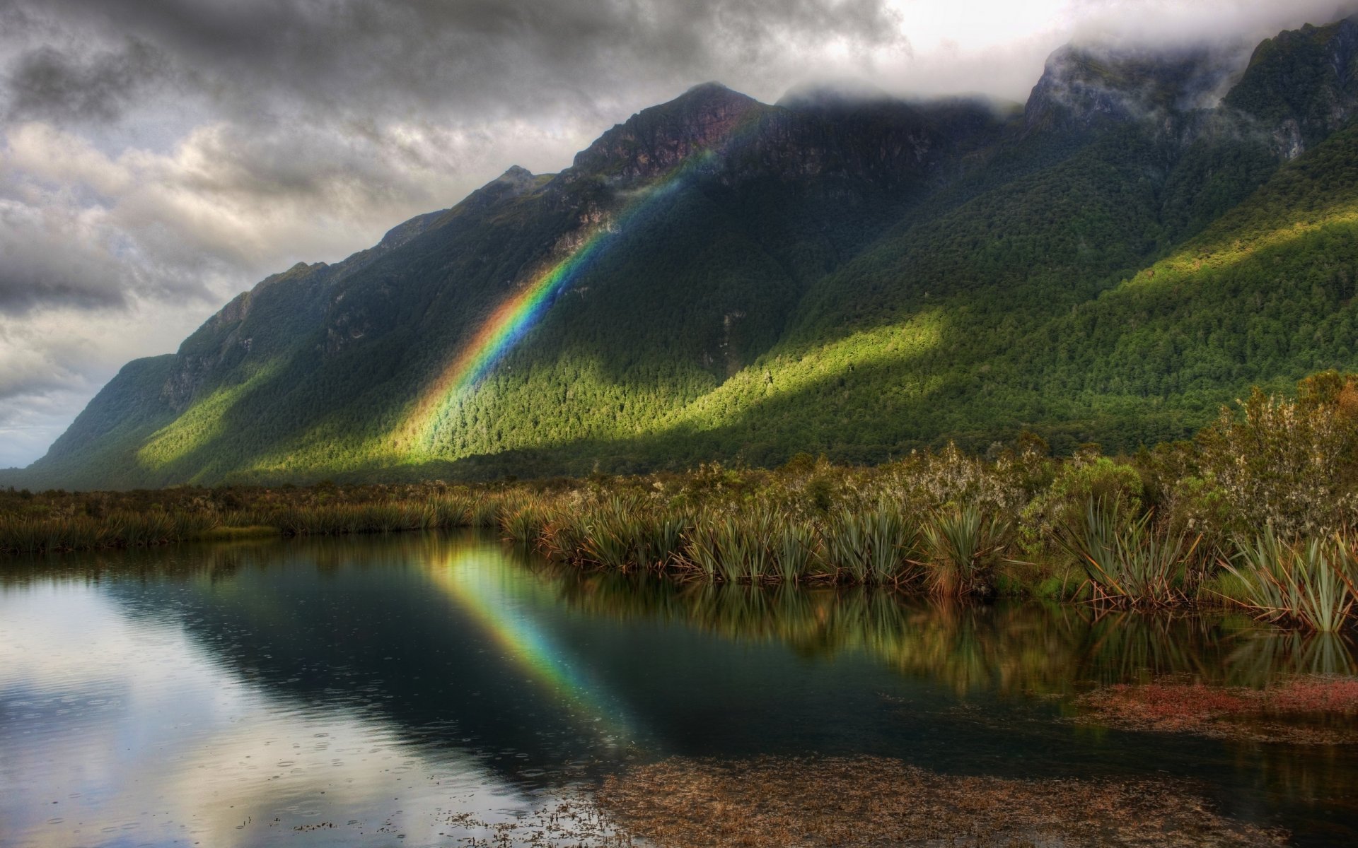 arc-en-ciel pluie plan d eau arbres