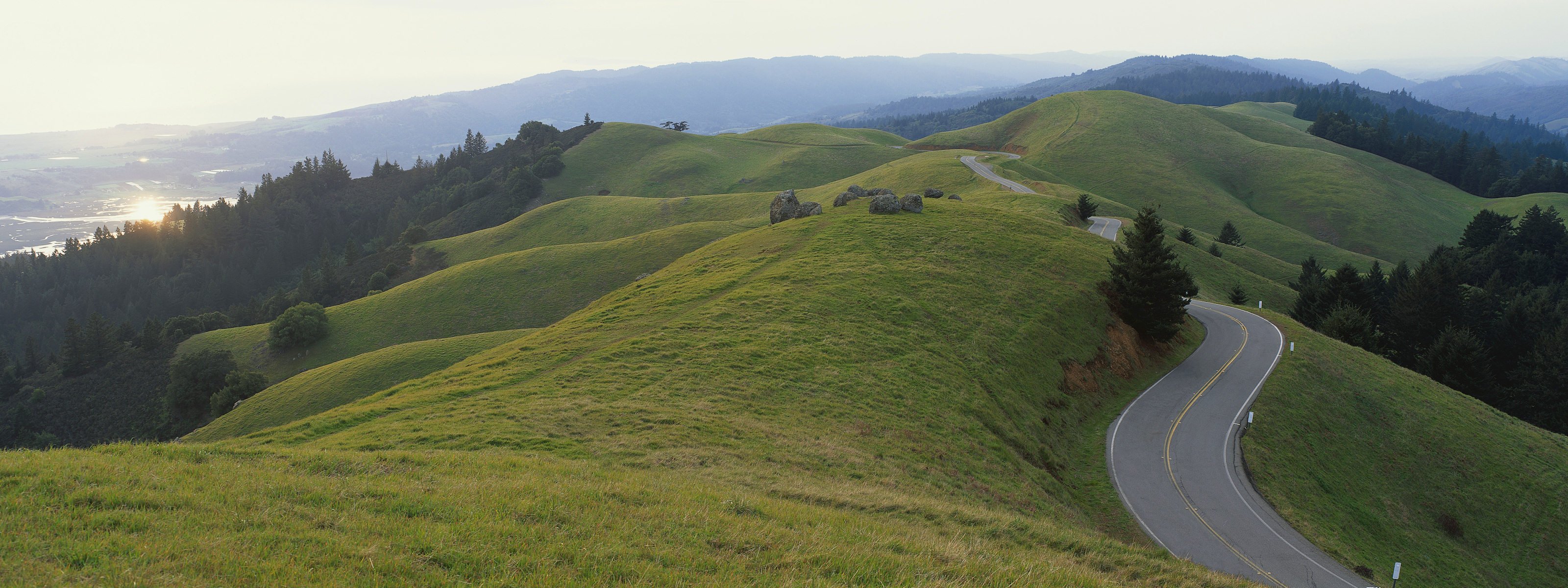 strada colline verde