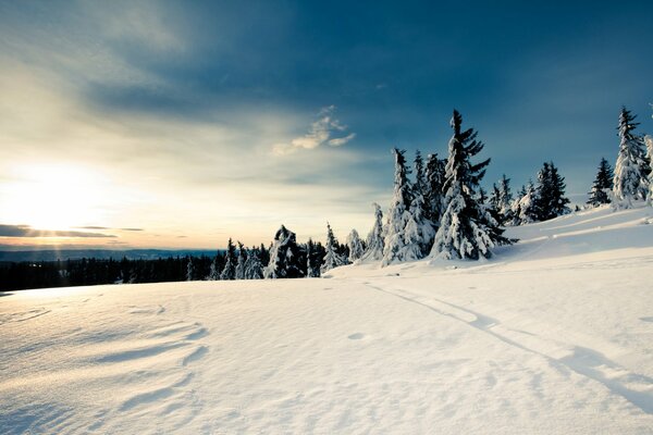 Weißer Schnee und blauer Himmel im Winter