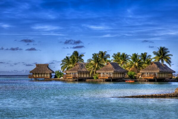 Quatre bungalows sur l eau au milieu de l océan et de la verdure