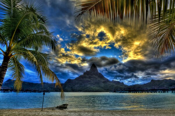 Strand mit Palmen und Bergblick