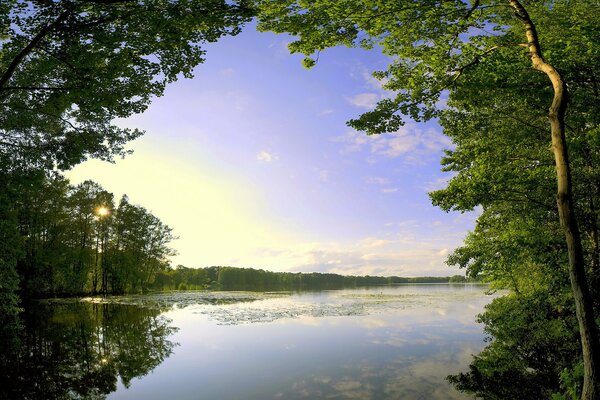 Lac bleu le matin parmi les arbres