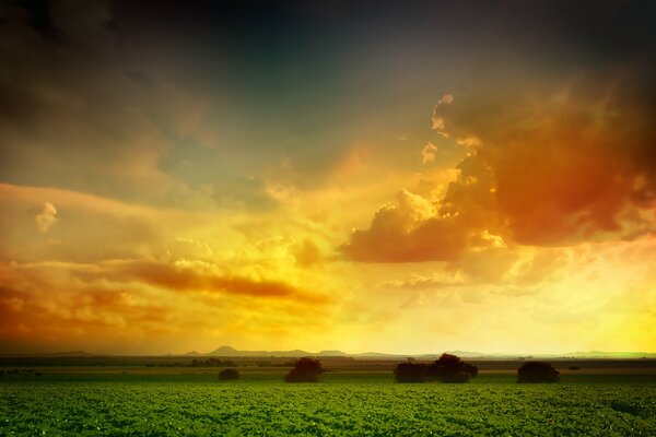 Orange clouds in the sky during sunset