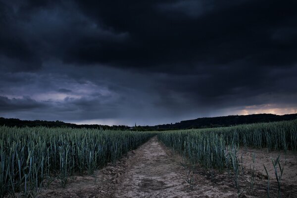 Cielo negro sobre el campo antes de la tormenta