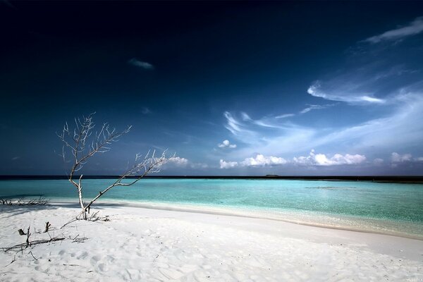 Lagune, wo der Strand und der weiße Sand