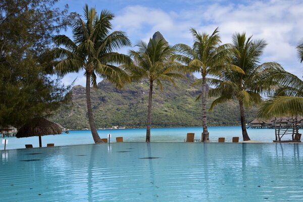 On the coast there is a pool with palm trees and clouds