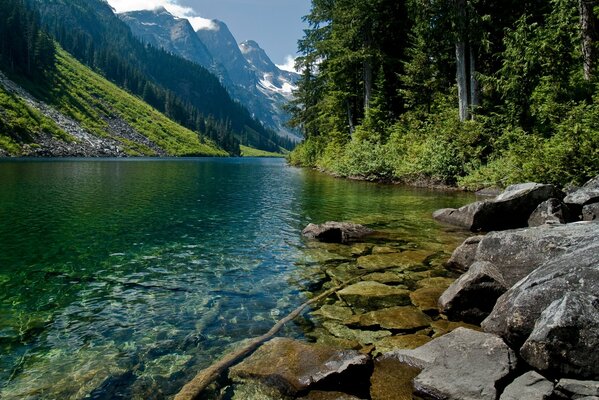 Un fiume di montagna che stupisce di bellezza e trasparenza