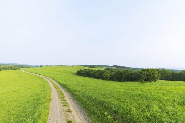 Eine schmale Straße, die über den Horizont hinausgeht