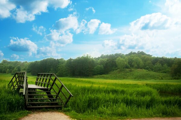 Saftige grüne Wiese. Grenzenloser Himmel