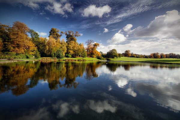 Trees reflected in the clear surface of the lake