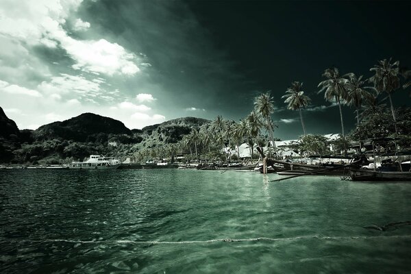 Playa con palmeras junto al mar