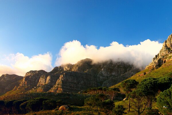 Wide mountains and lush forests