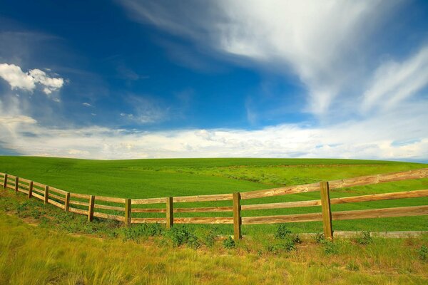 Cerca en un campo verde