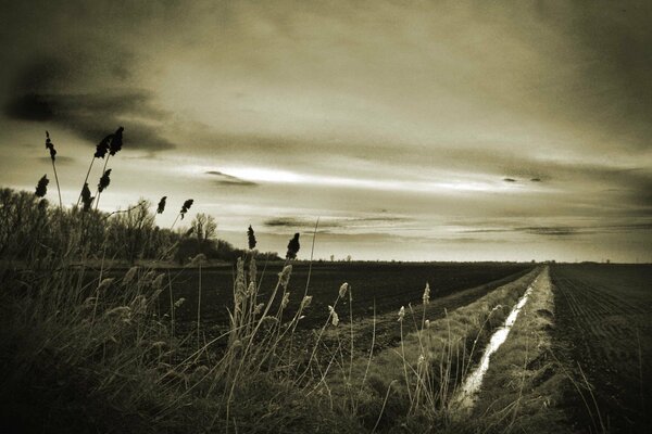 A road in a field with grass and trees