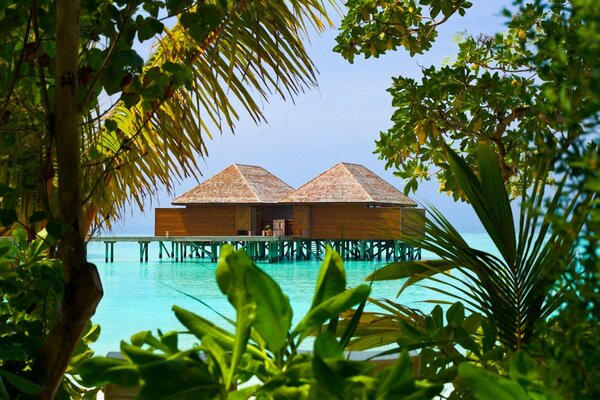 Houses over the ocean near the beach with greenery