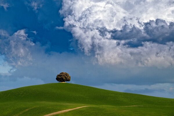 Collina verde sullo sfondo di un cielo blu brillante