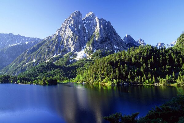 Raggiungere il cielo Foresta e montagne