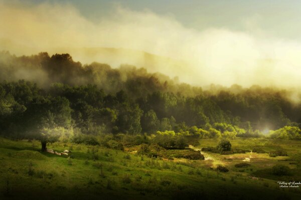 Nature dans la brume brumeuse des nuages