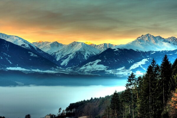 Ciel jaune sur la forêt et les montagnes enneigées