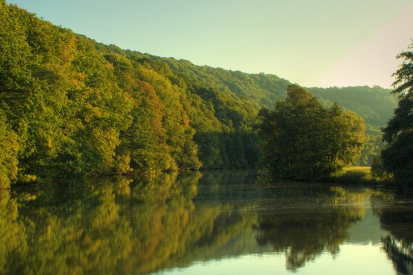 Lac tranquille dans une forêt dense