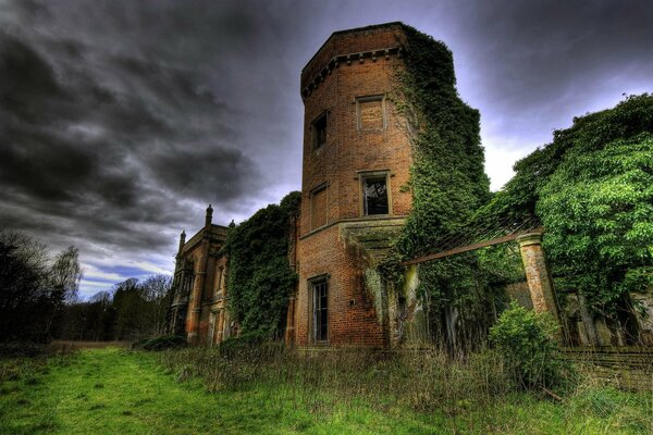 An abandoned tower in a dark, gray forest