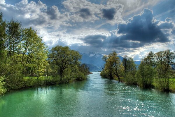 Giornata di sole sulla riva del fiume nella foresta