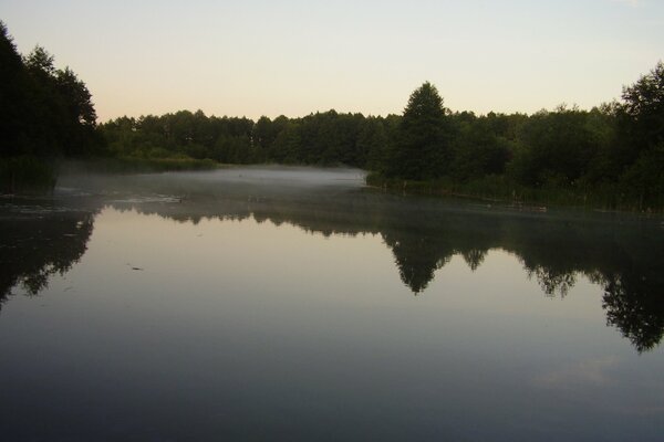 Reflection of the pine forest in the clear mirror of the lake