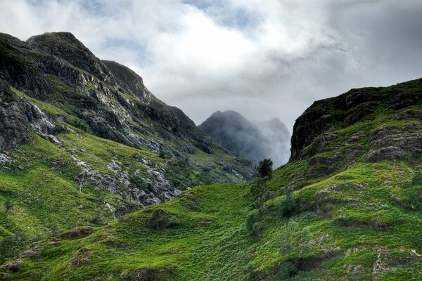 Scottish rocky gorge in height