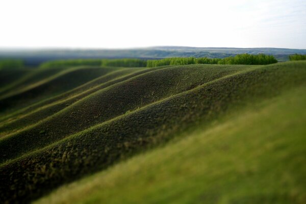 Bright green valley slopes