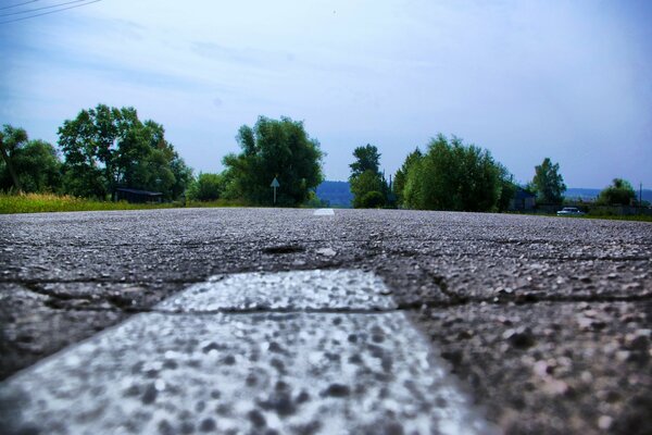 Road markings on asphalt along the forest