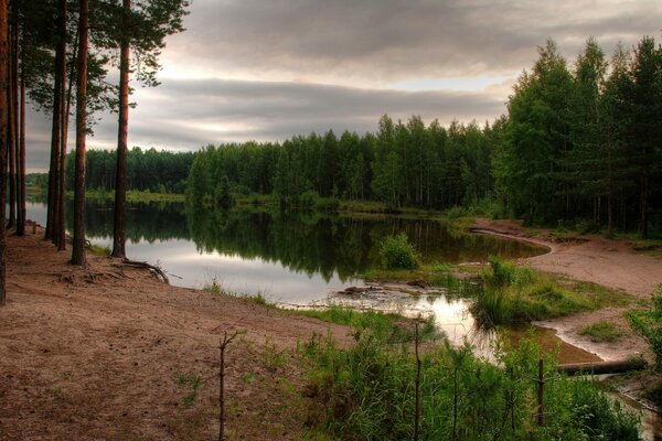 Waldlandschaft neben dem Teich, grauer Himmel