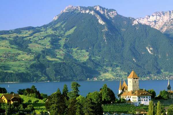 Castello sul lago nelle montagne della Svizzera