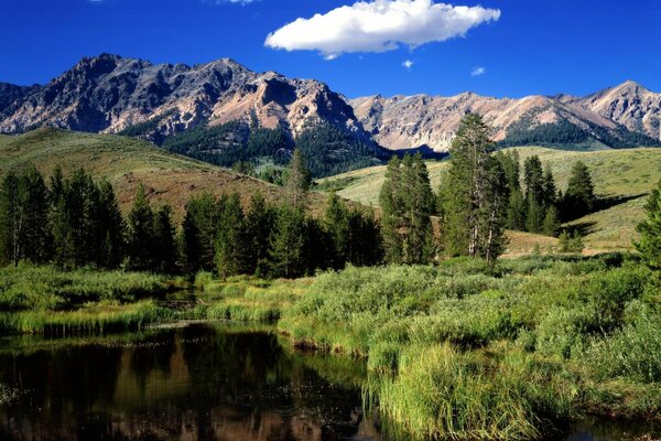 Forest river on the background of high mountains