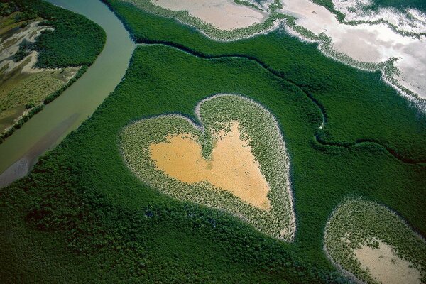 Vista del campo en forma de corazón a vista de pájaro