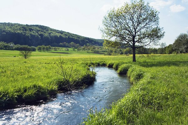 Un río ágil y sinuoso corta los verdes de la pradera por la mitad