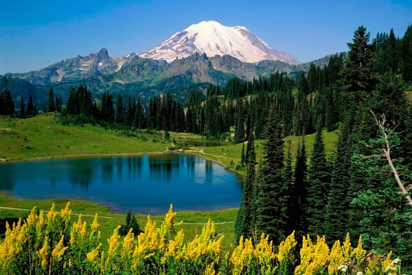 Alpenlandschaft: Wiesen, Bergsee und Berge