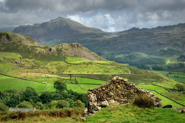 Scottish mountain allotment in the field