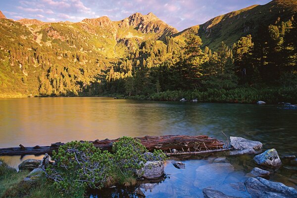 Ein ruhiger Teich inmitten der Rocky Mountains